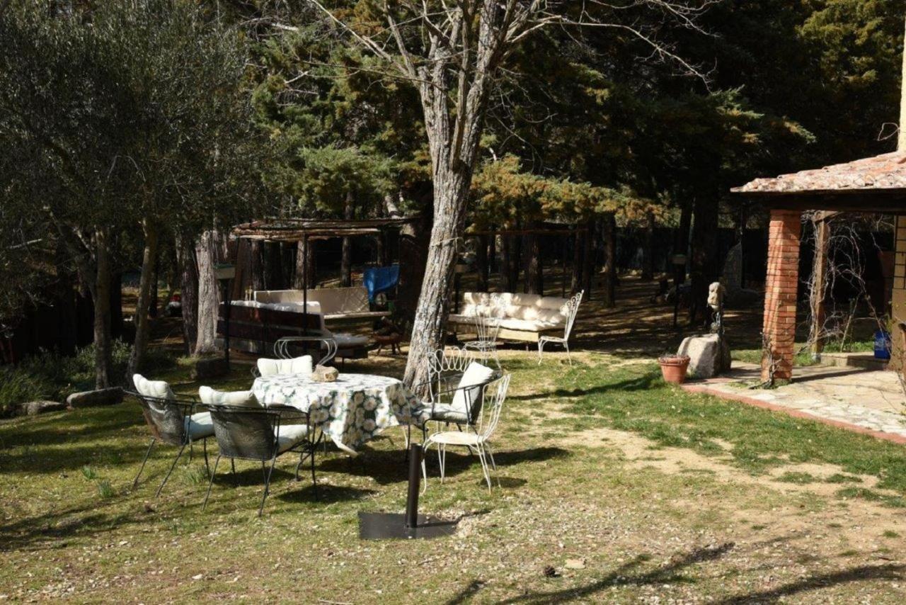 카스틸리오니도르시아 Mdq - Azienda Agricola 아파트 외부 사진